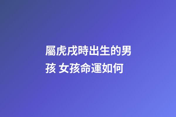 屬虎戌時出生的男孩 女孩命運如何